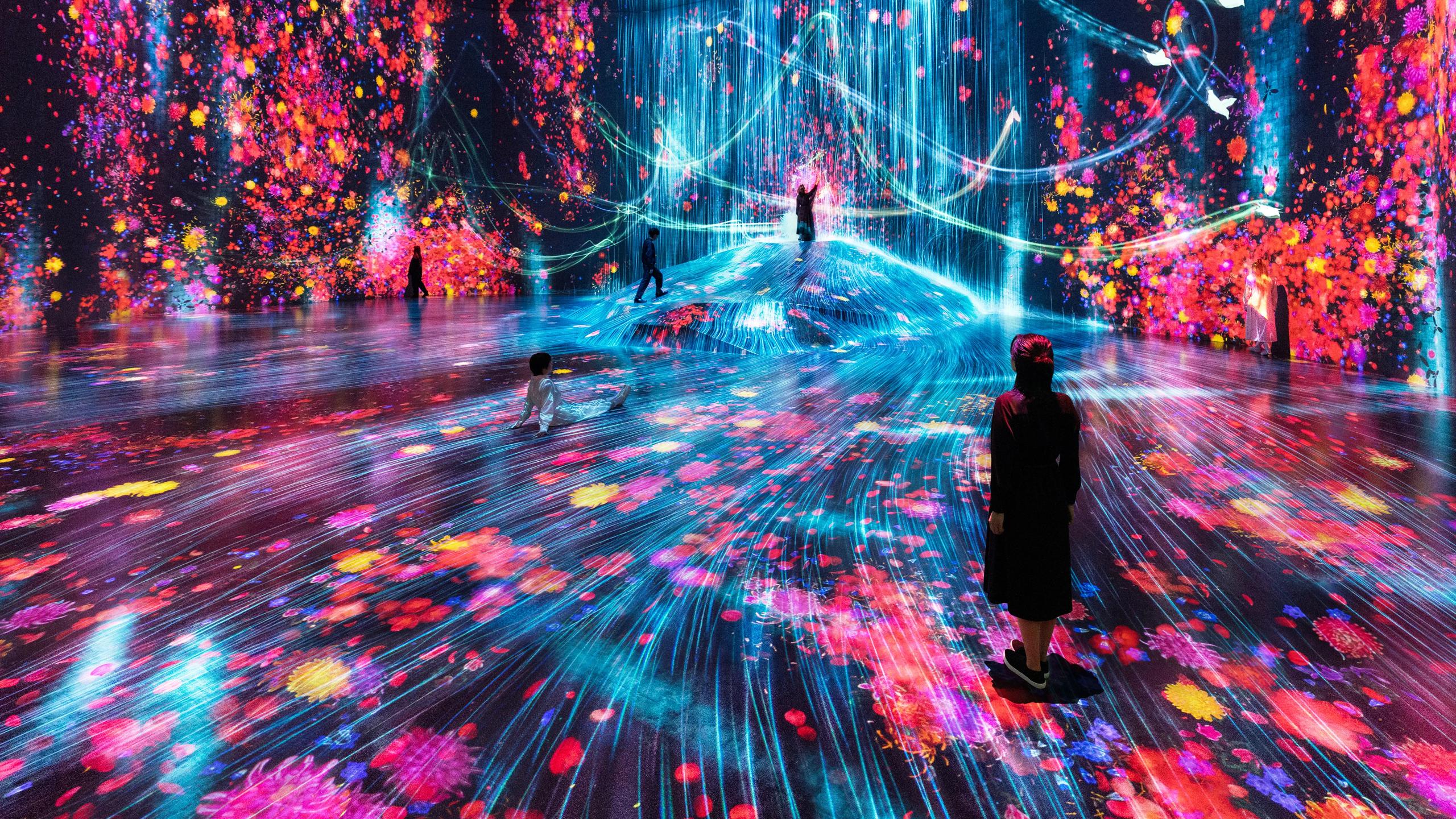 Digital Art Exhibitions Gain Popularity in Museums Worldwide  May 2026